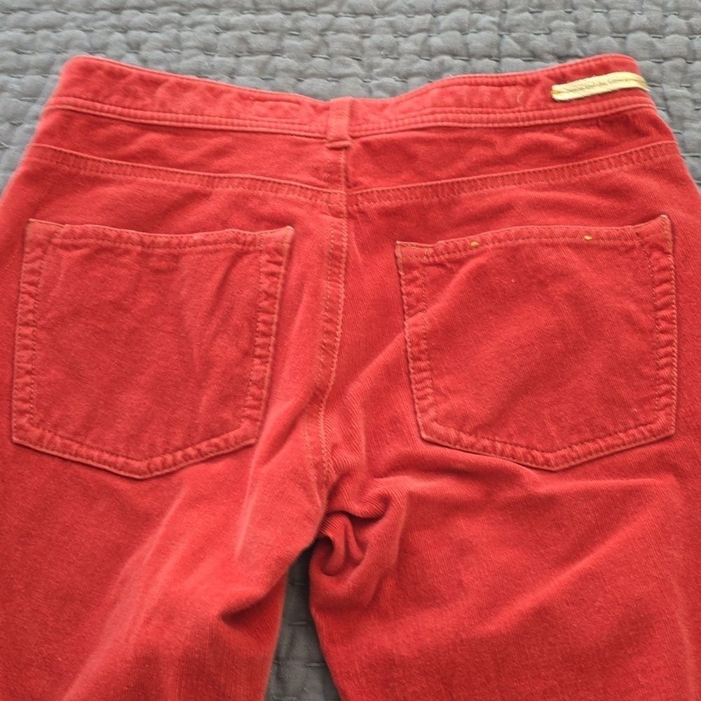 Pilcro And The Letterpress Rust Serif Skinny Corduroy Pants - Picture 8 of 15